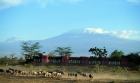 Amboseli Serena Safari Lodge Amboseli Serena Safari Lodge
